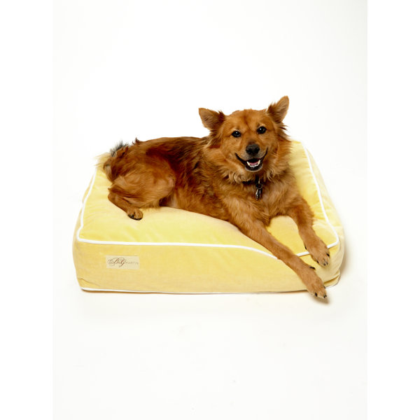 B&GMartin B&G Martin Faux Suede Pet Bed Wayfair